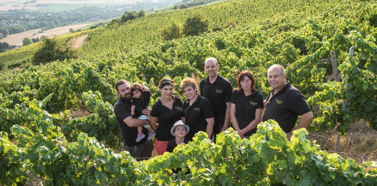 Hotel Weinschloesschen Im Weingut Roos Ilbesheim Zewnętrze zdjęcie